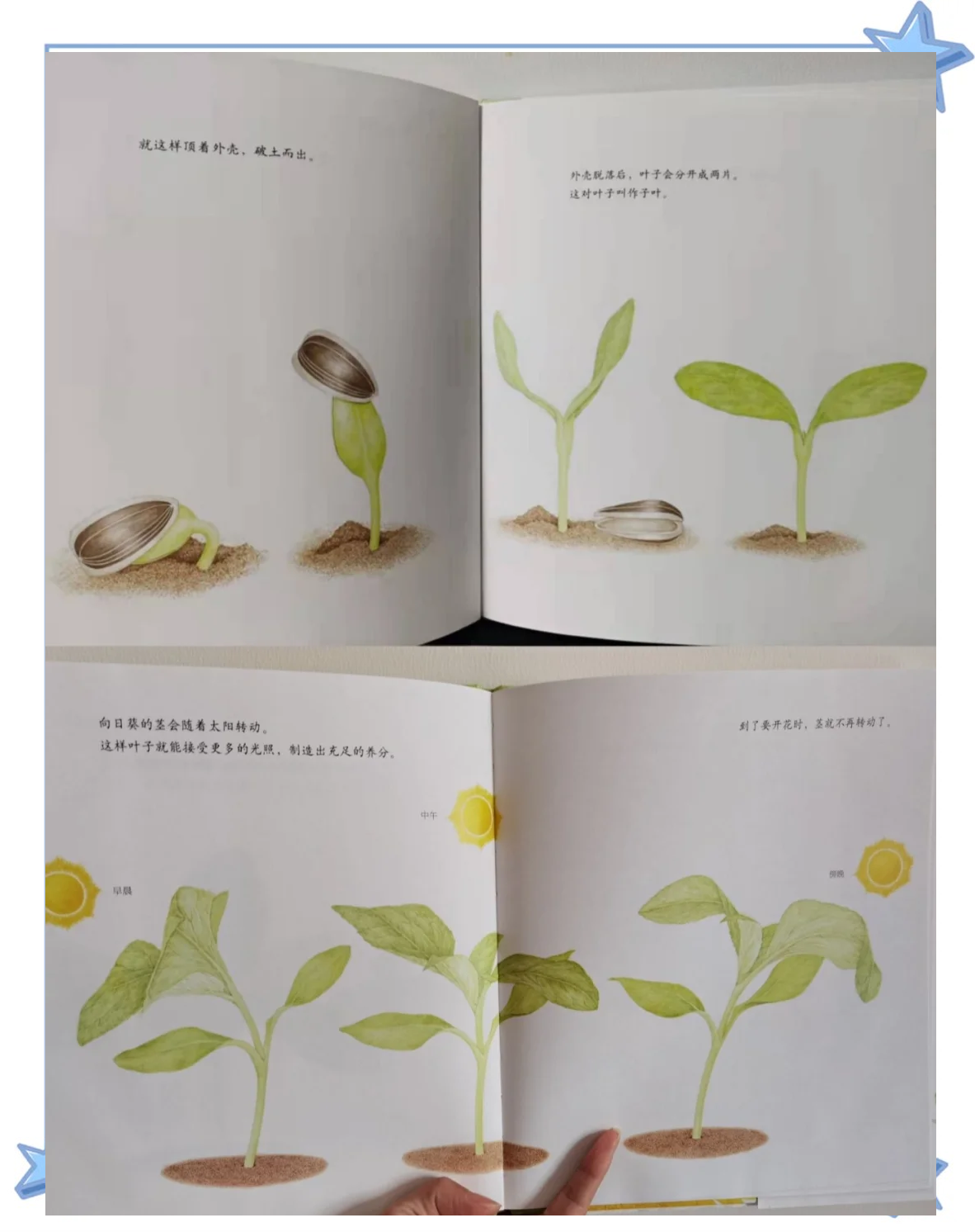 探索XRK1_3_0ARK的奥秘，向日葵在线观看的奇妙之旅-第1张图片
