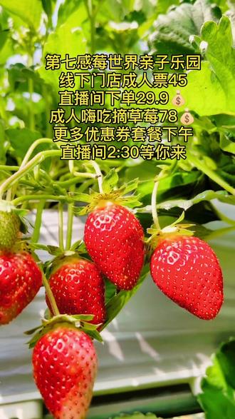 草莓直播免费观看下载大全草莓直播，免费观看与下载体验的全新选择-第1张图片