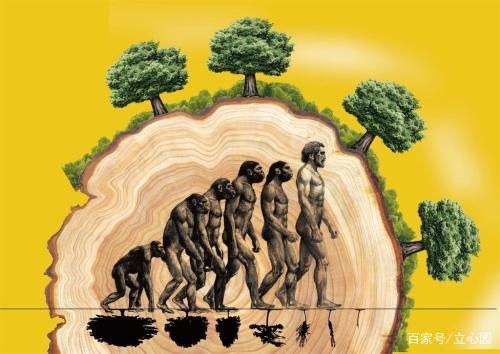 人类与猛兽结合人类与猛兽结合，探索未知的生物共融之路-第1张图片