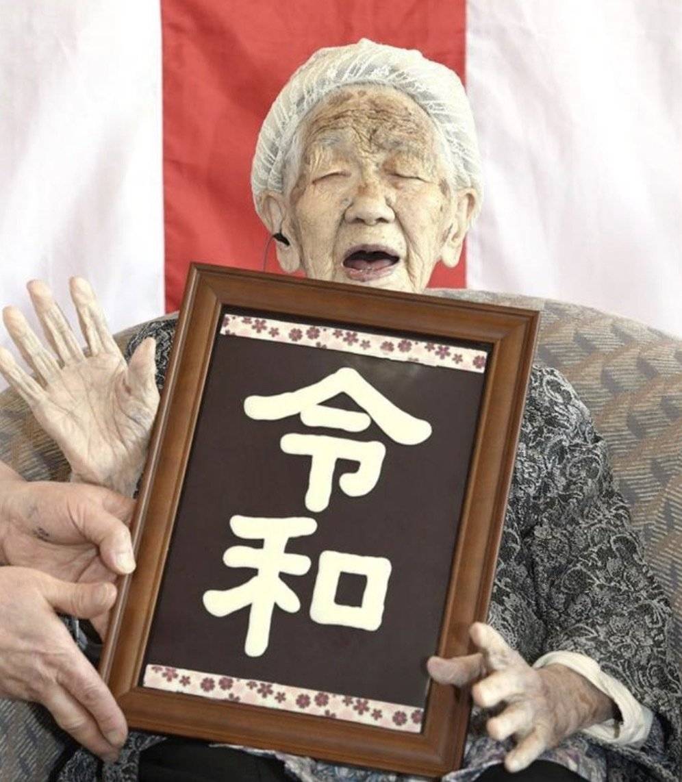 哪里有毛片探索网络世界中的毛片资源-第1张图片