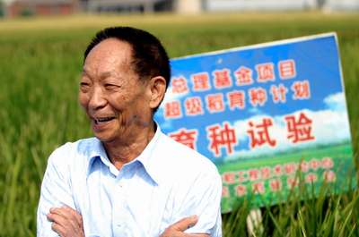 家仁家义田淑芬全文免费阅读家仁家义，田淑芬的家族传承与人生故事-第1张图片