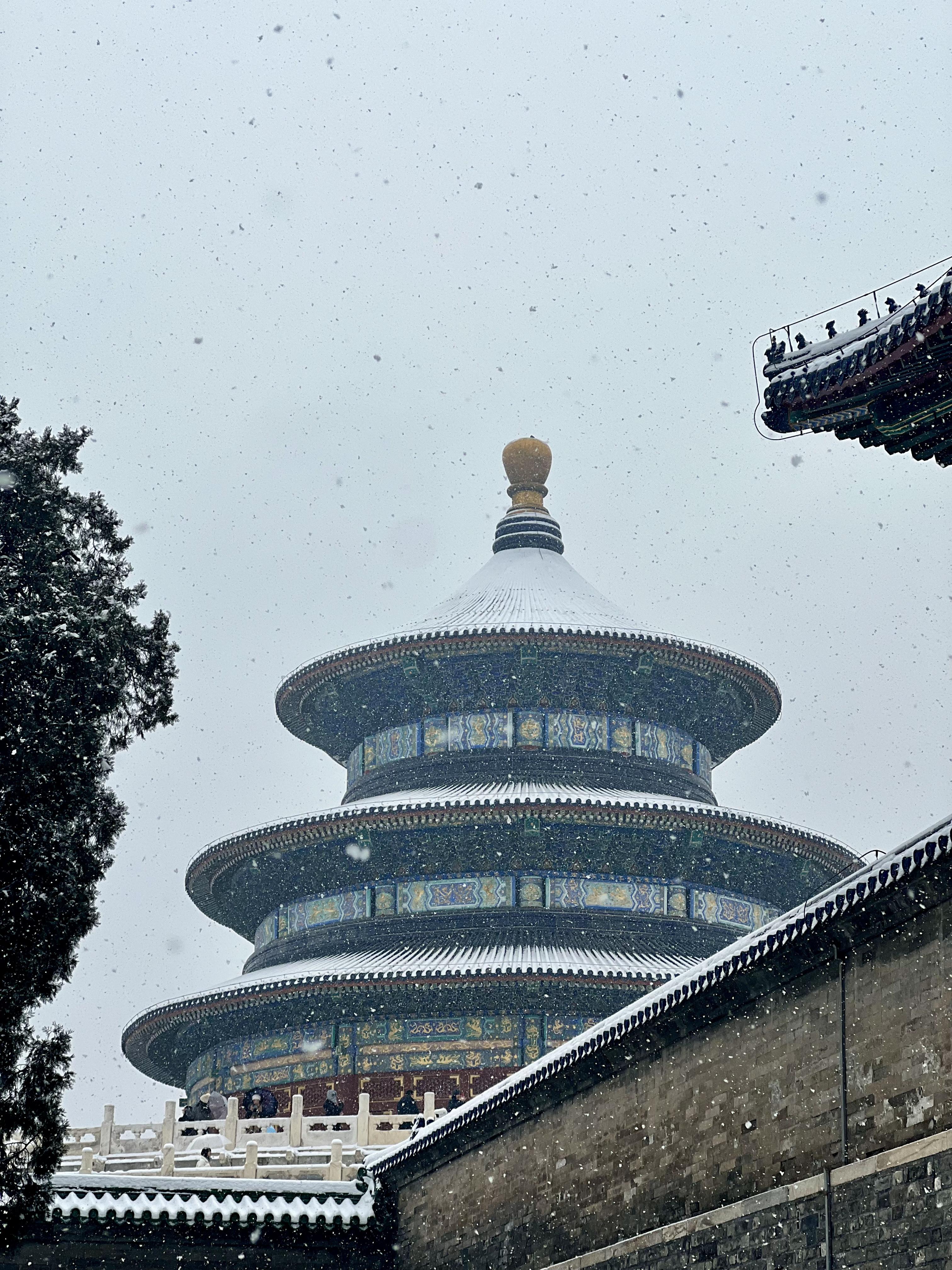 那两团雪球在他的手里 小说雪球在手，冬日的温暖与力量-第2张图片