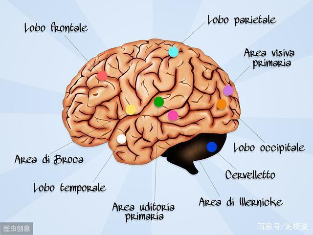 插淫关于插淫现象的深度解析与思考-第2张图片