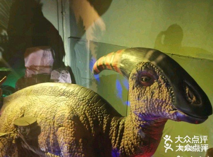 探索溜溜吧免费影院的魅力之旅-第3张图片