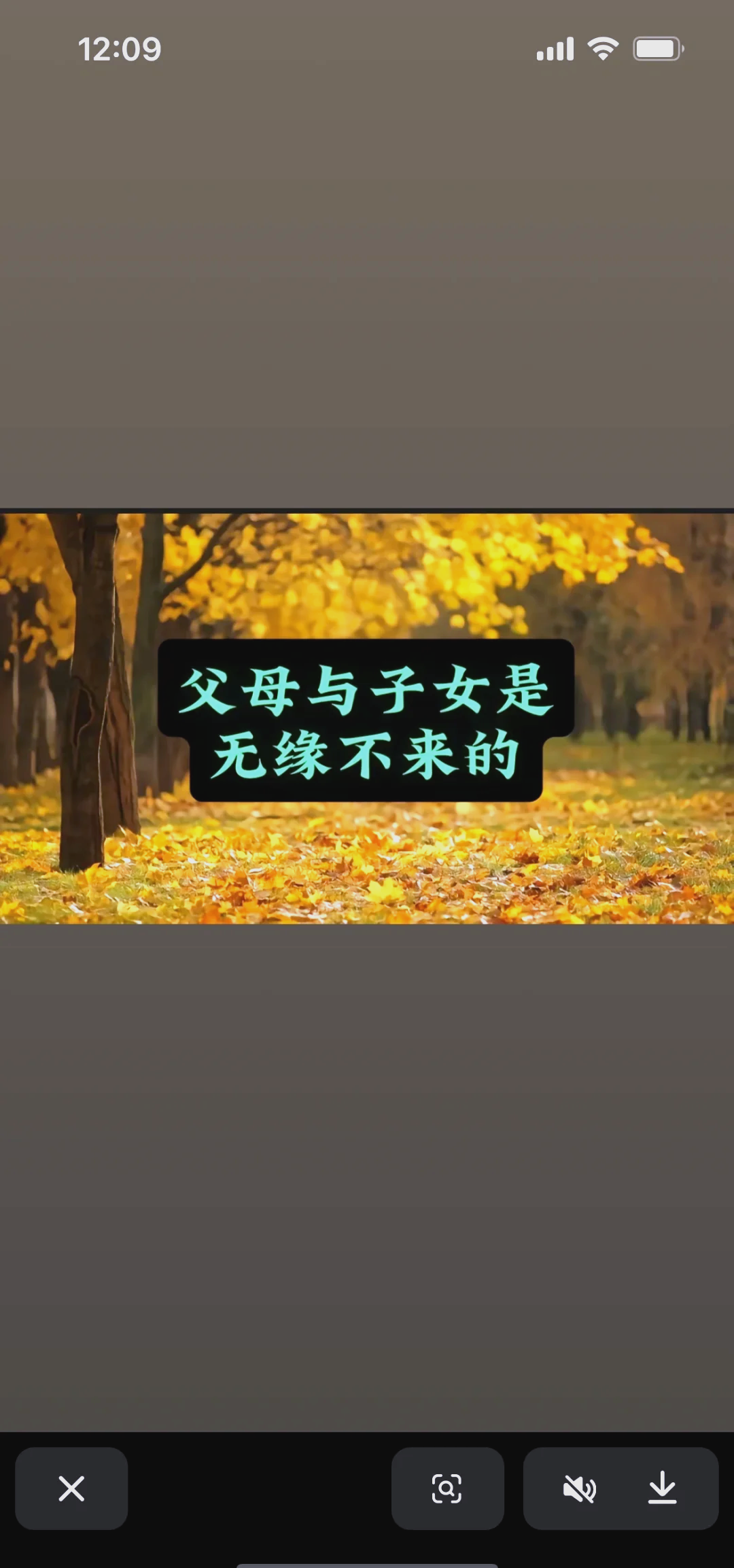 父母与子女互换父母与子女互换，一次不同寻常的生活体验-第1张图片