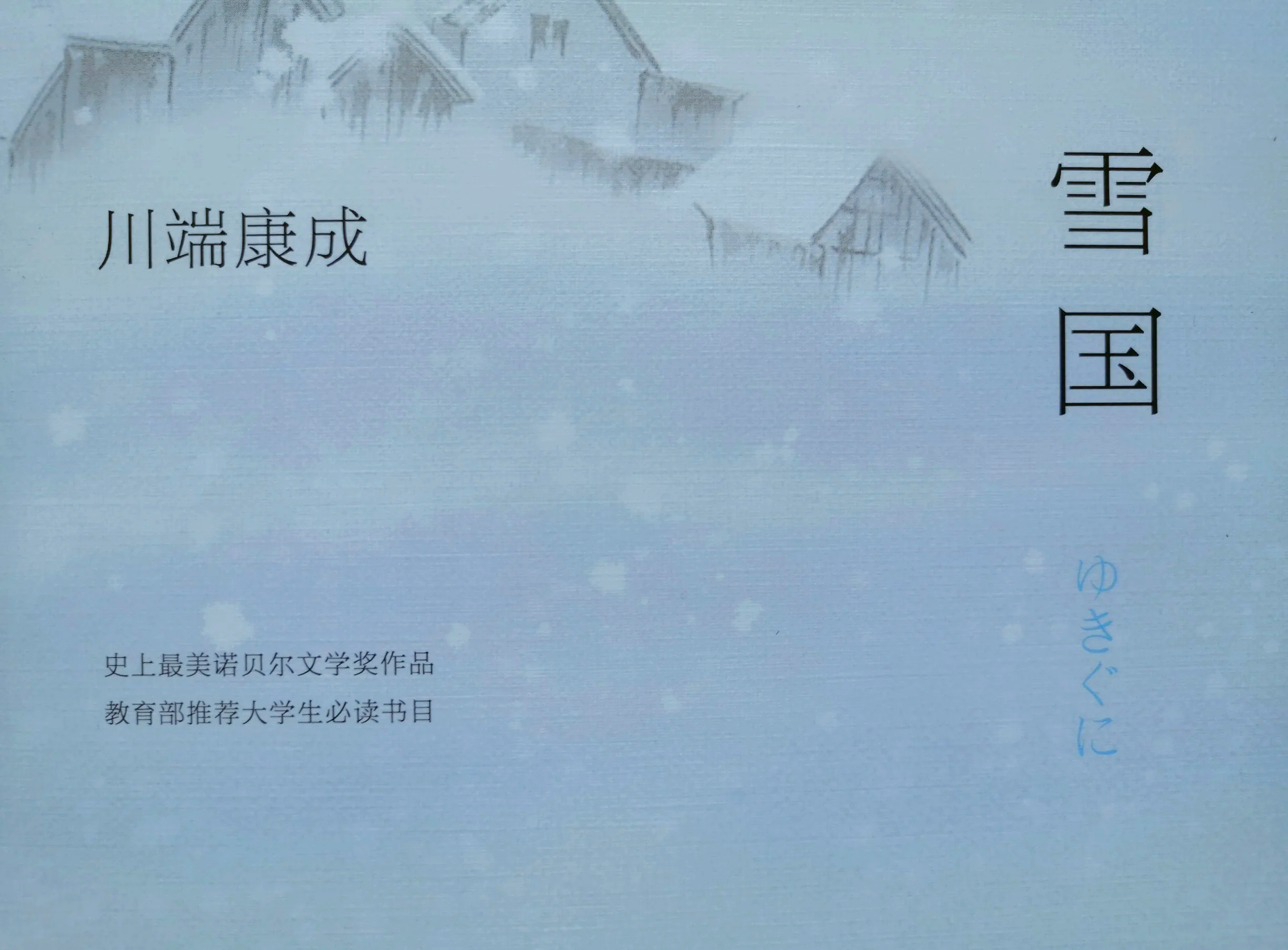 图书管理员雪叶1-6图书管理员雪叶的成长之旅-第1张图片