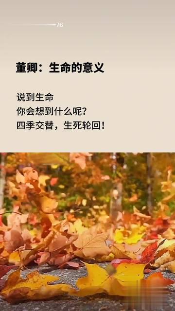 亭亭玉月丁香春色激情，生命的绽放与追求-第1张图片
