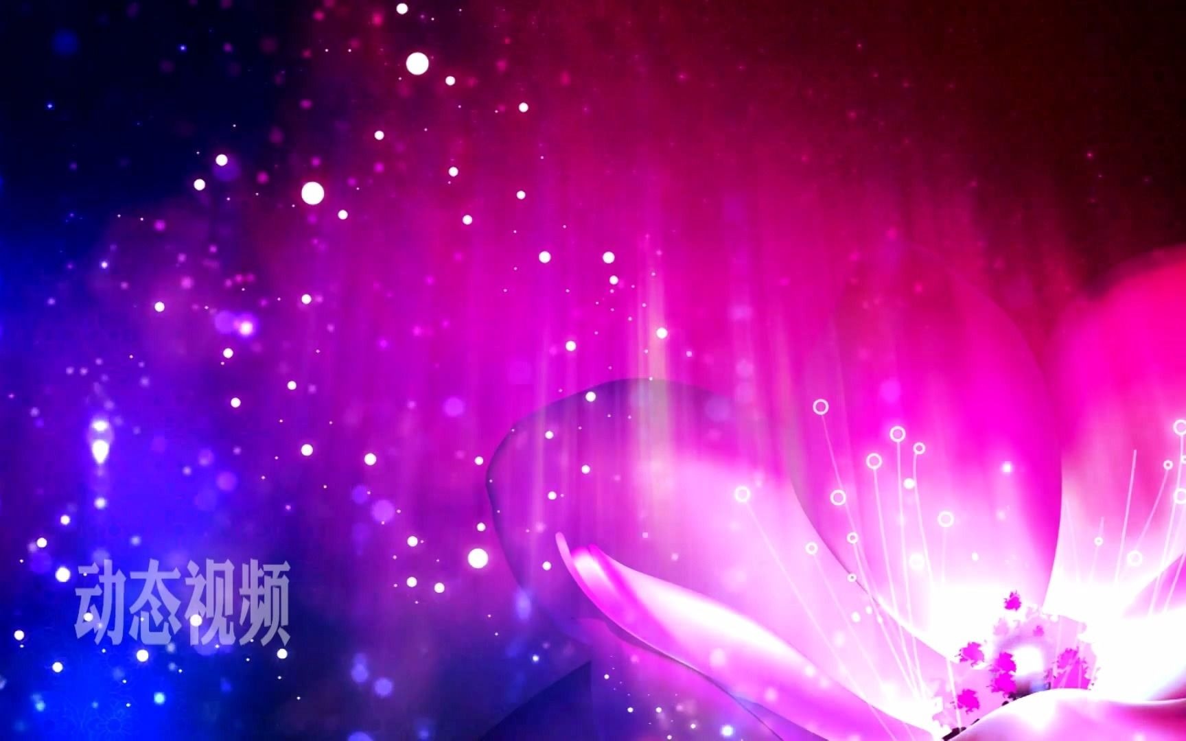 粉色视频在线观看版免费版——轻松享受视觉盛宴-第3张图片