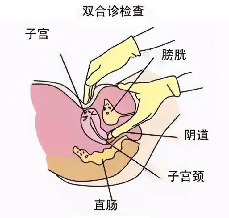 如何正确触摸私处小豆豆-第2张图片