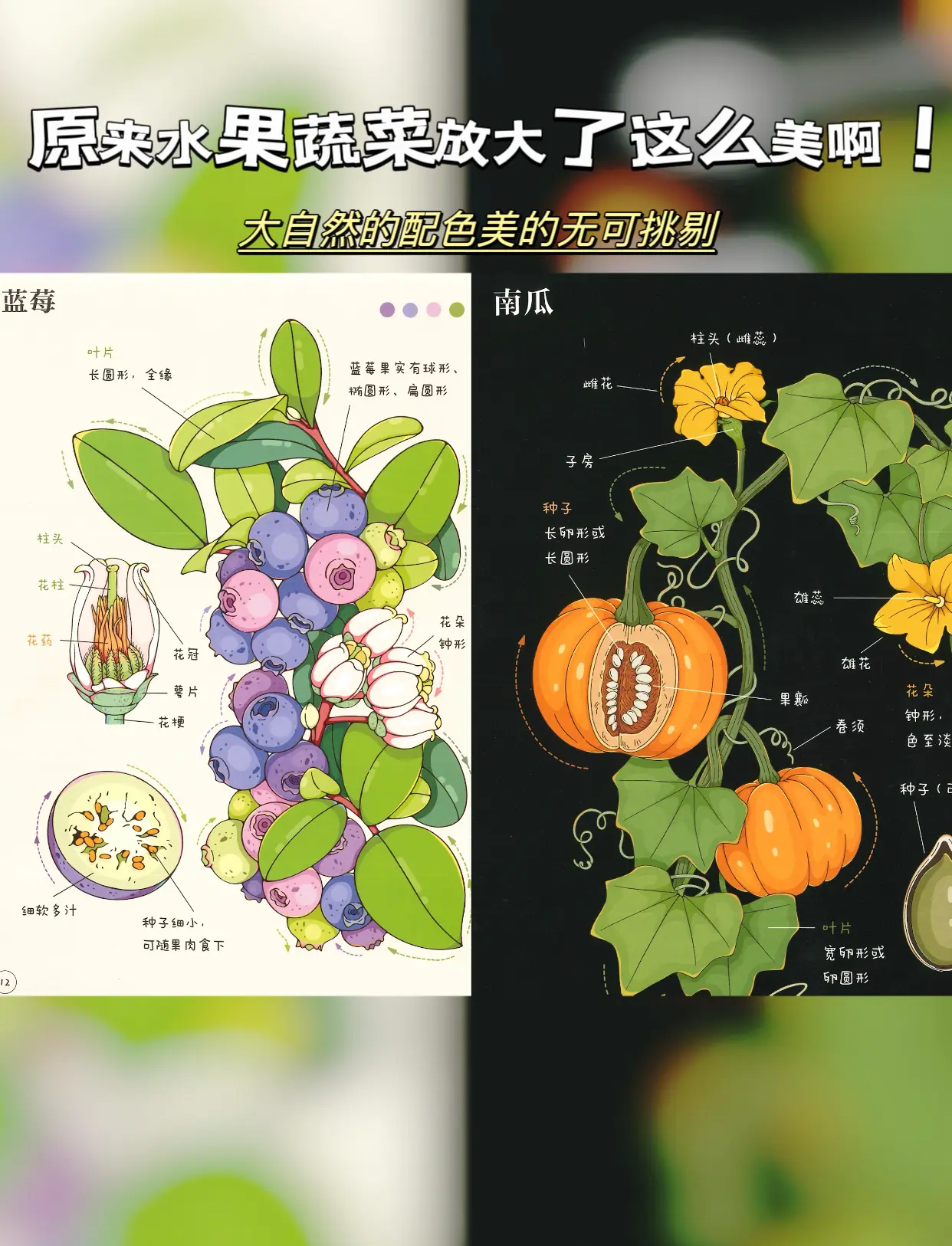 探索多彩果蔬世界——草莓、香蕉、榴莲、丝瓜、秋葵与绿巨人的奇妙之旅-第3张图片