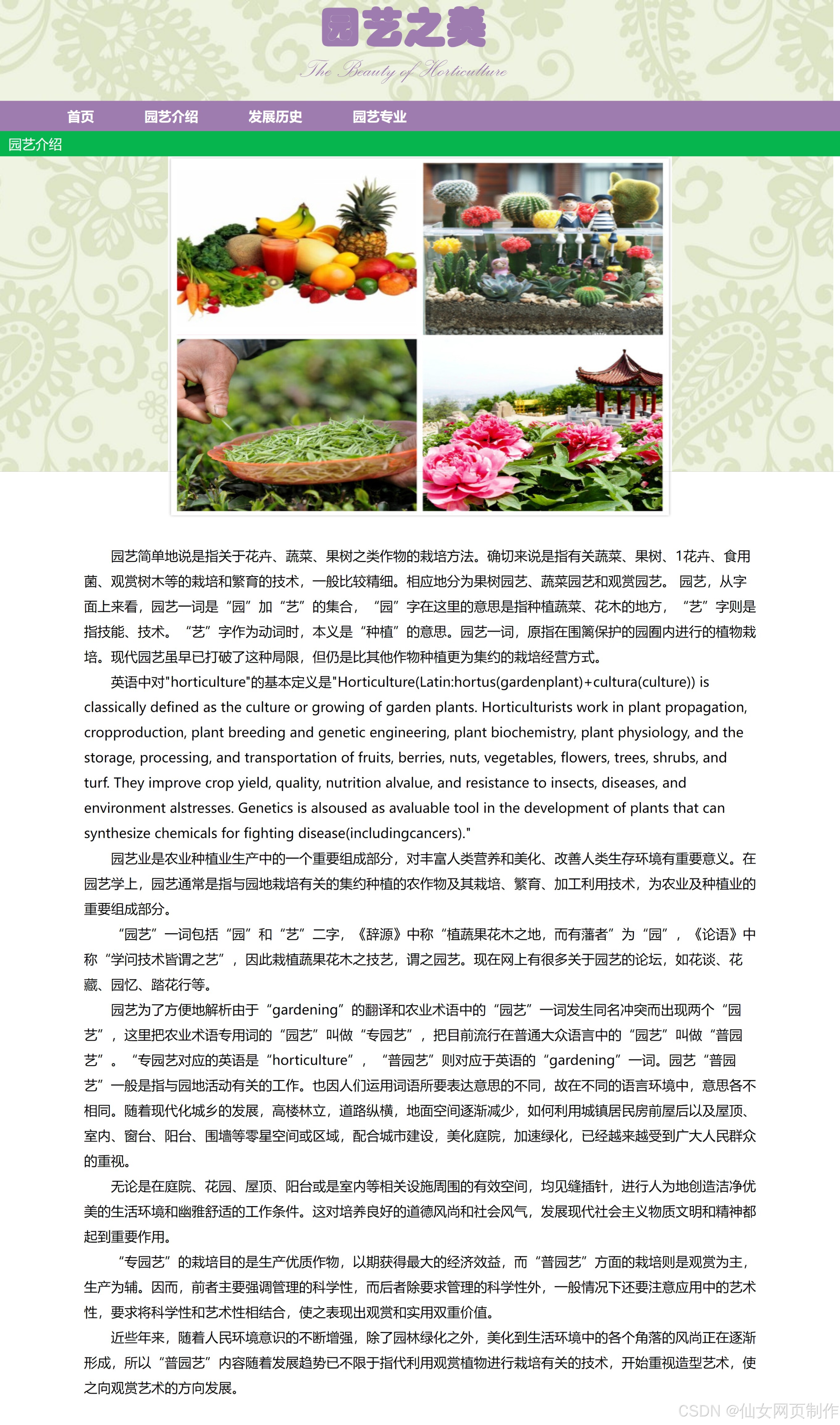 成品网页成品网站W灬源码1688伊甫园，探索与解析-第1张图片