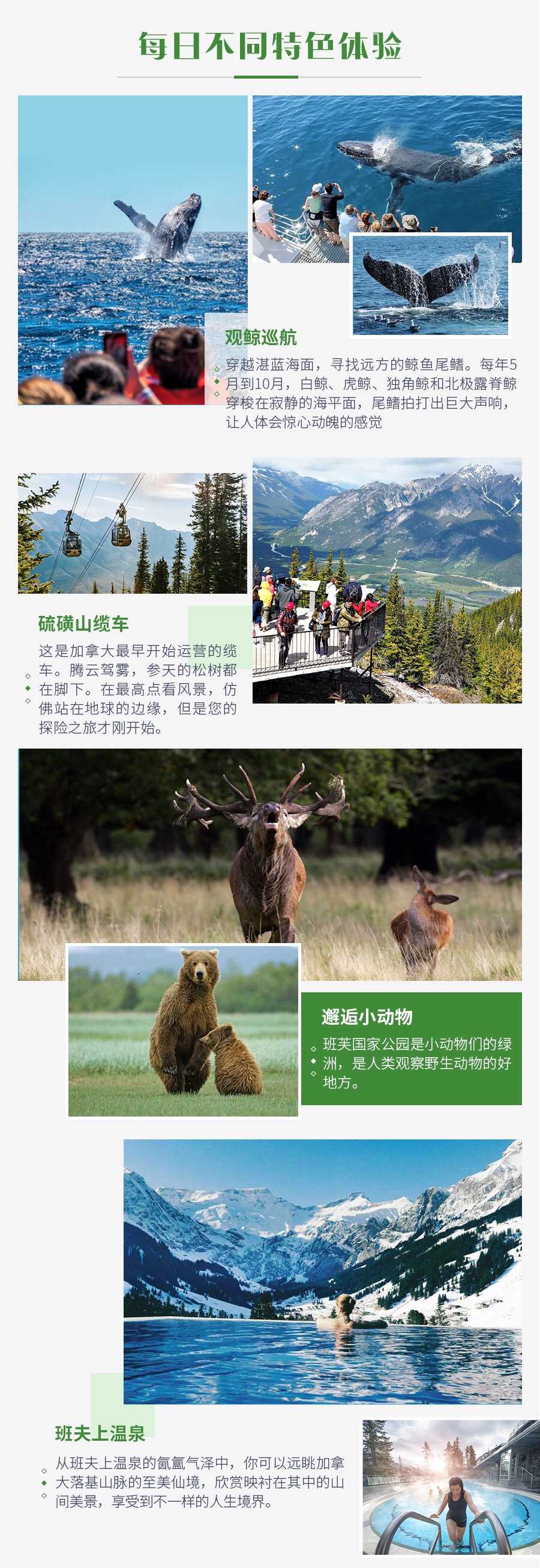 雪山冒险雪山冒险之旅，挑战与勇气的交响曲-第1张图片