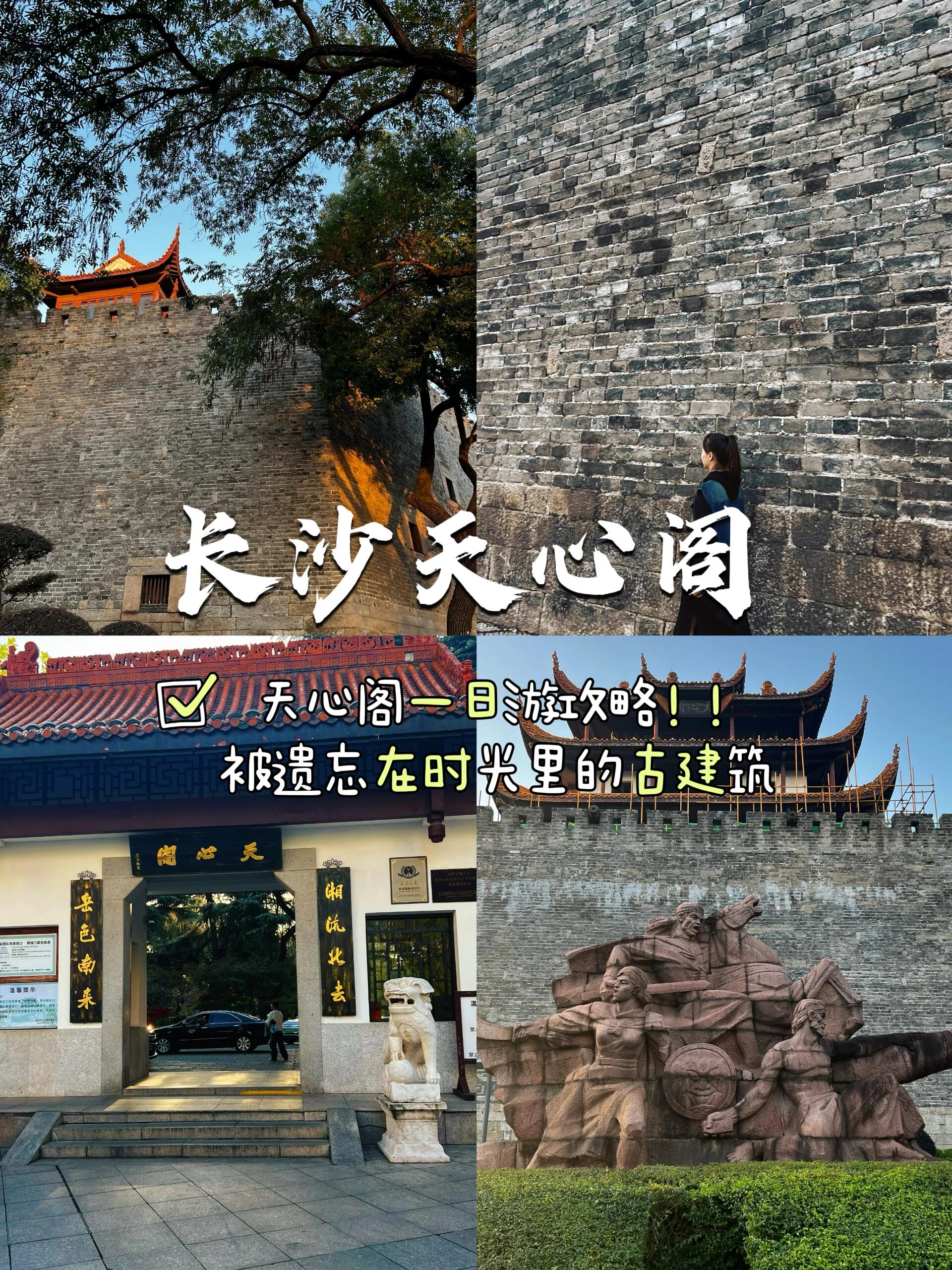 新不夜城 亚洲新不夜城——亚洲的璀璨明珠-第2张图片