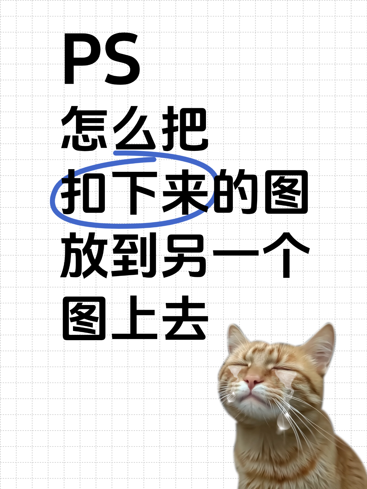 自拍抠图壁纸扣逼自拍——一种网络现象的深度解析-第2张图片