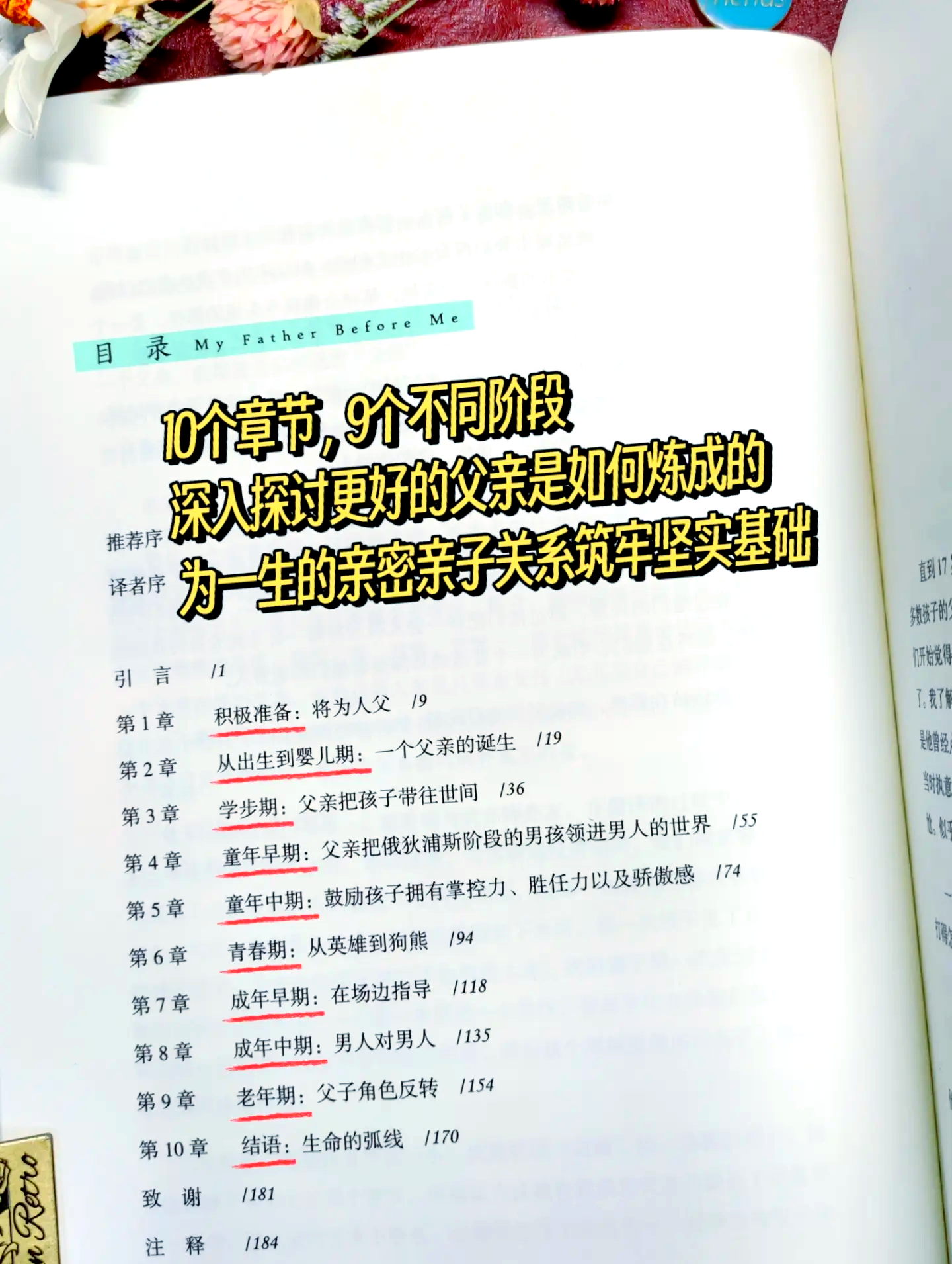 父亲有力挺送女儿的话 含义父亲的力量——一句挺送女儿的话-第3张图片