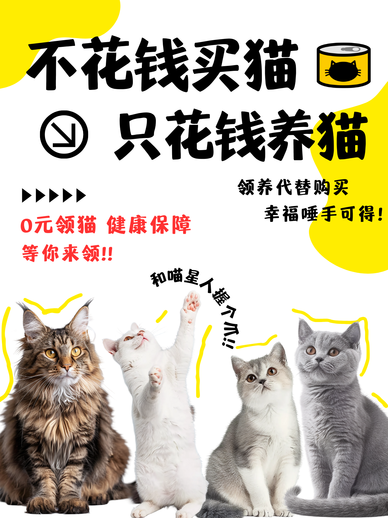 猫咪全新3.0，引领宠物科技新潮流-第1张图片