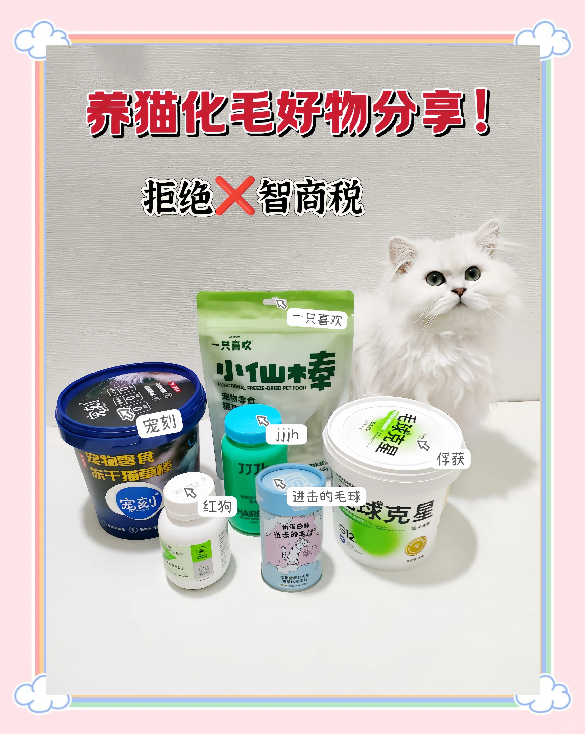 猫咪全新3.0，引领宠物科技新潮流-第2张图片
