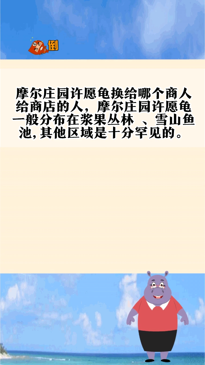 摩尔庄园许愿龟的神秘魅力-第1张图片