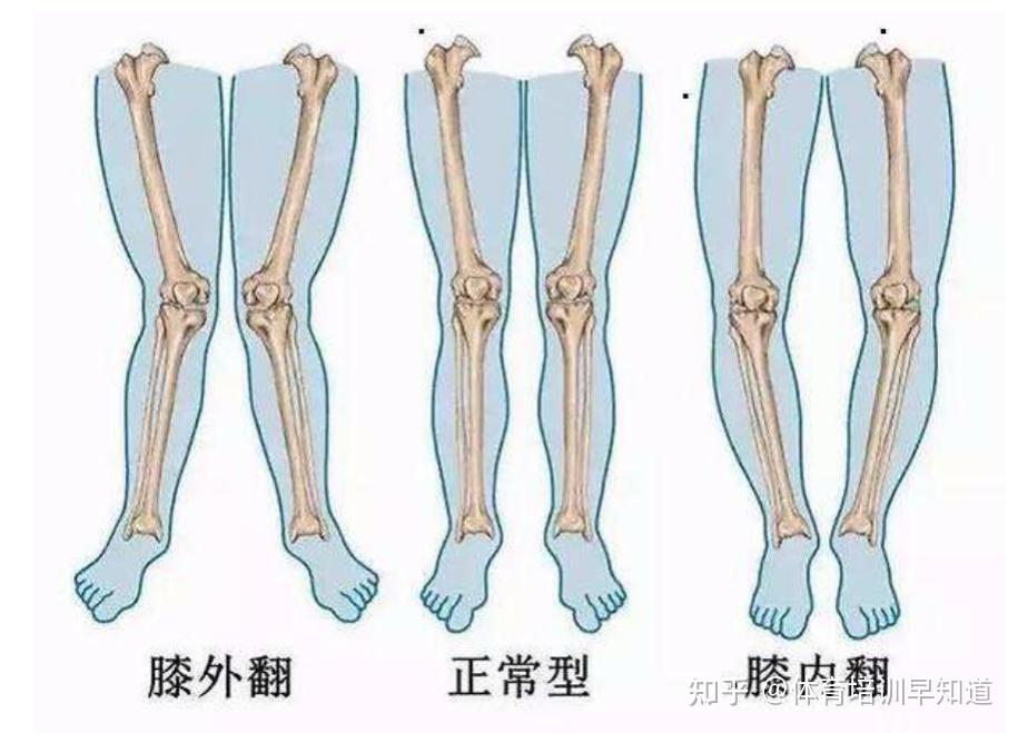 把腿叉开我插一下视频关于把腿叉开的误解与正确理解-第1张图片