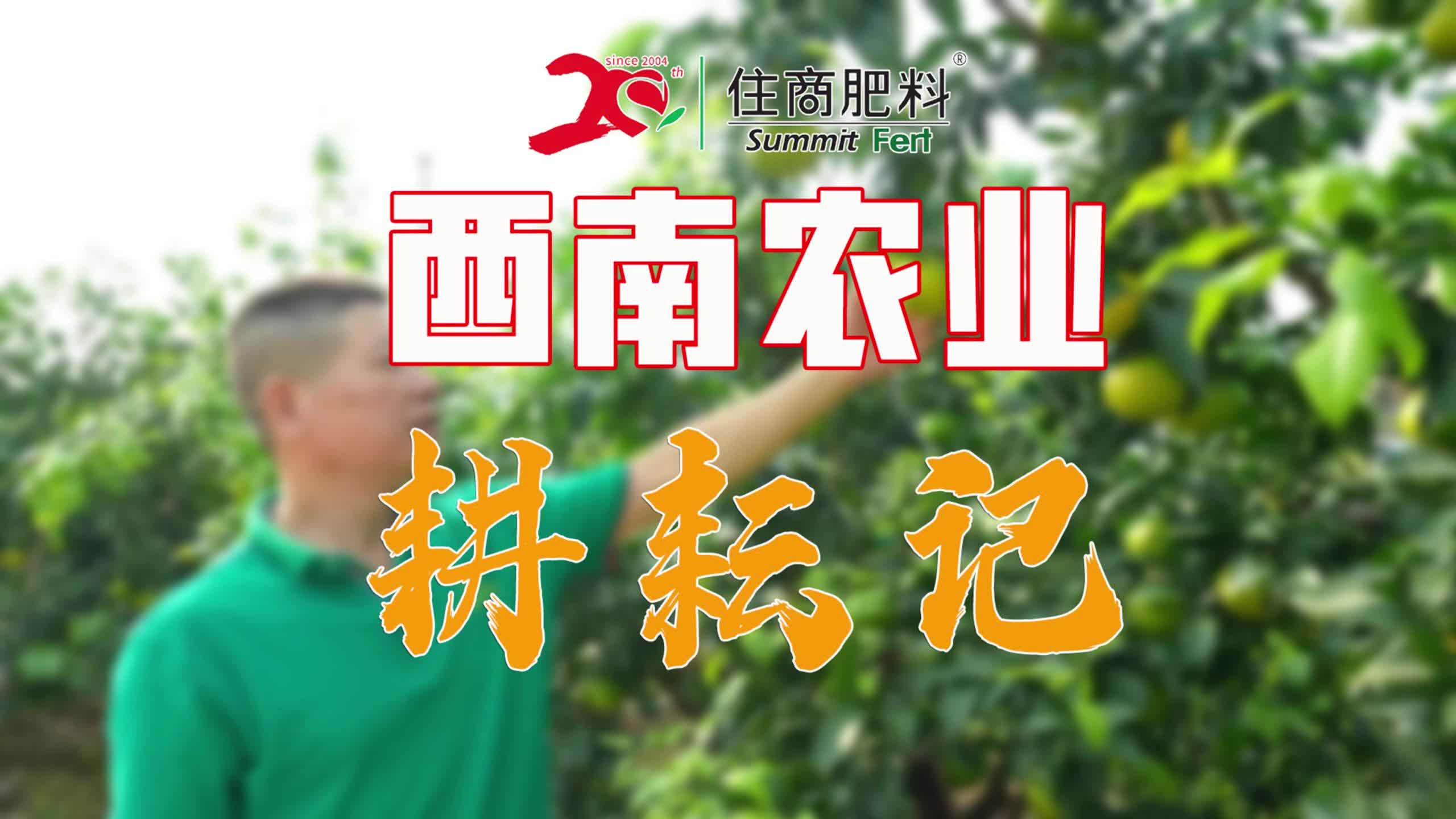 耕耘大婶的肥沃的土地是什么意思啊耕耘大婶的肥沃土地之源-第1张图片