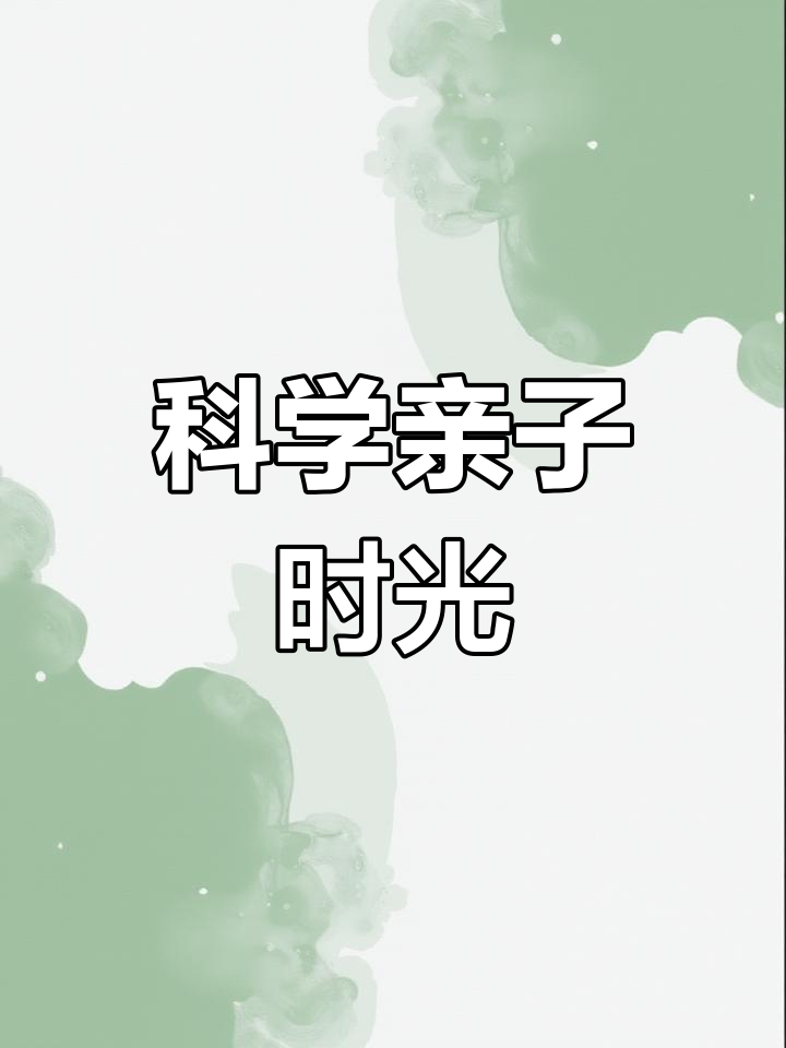 菠萝蜜视频免费观看，探索无限乐趣的数字世界-第2张图片