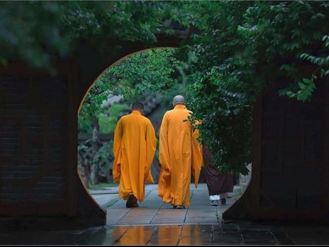 色品尚网品色堂社区，一个充满活力与魅力的生活空间-第1张图片