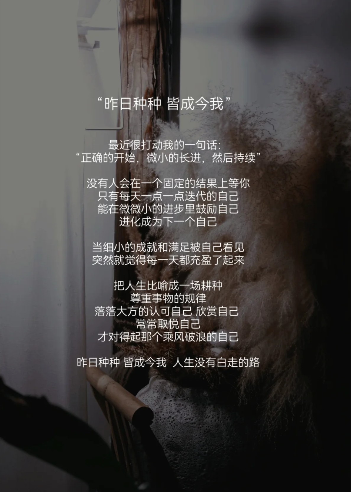 留在我体内的又开始变大留在我体内的奇迹，重新生长的旅程-第1张图片