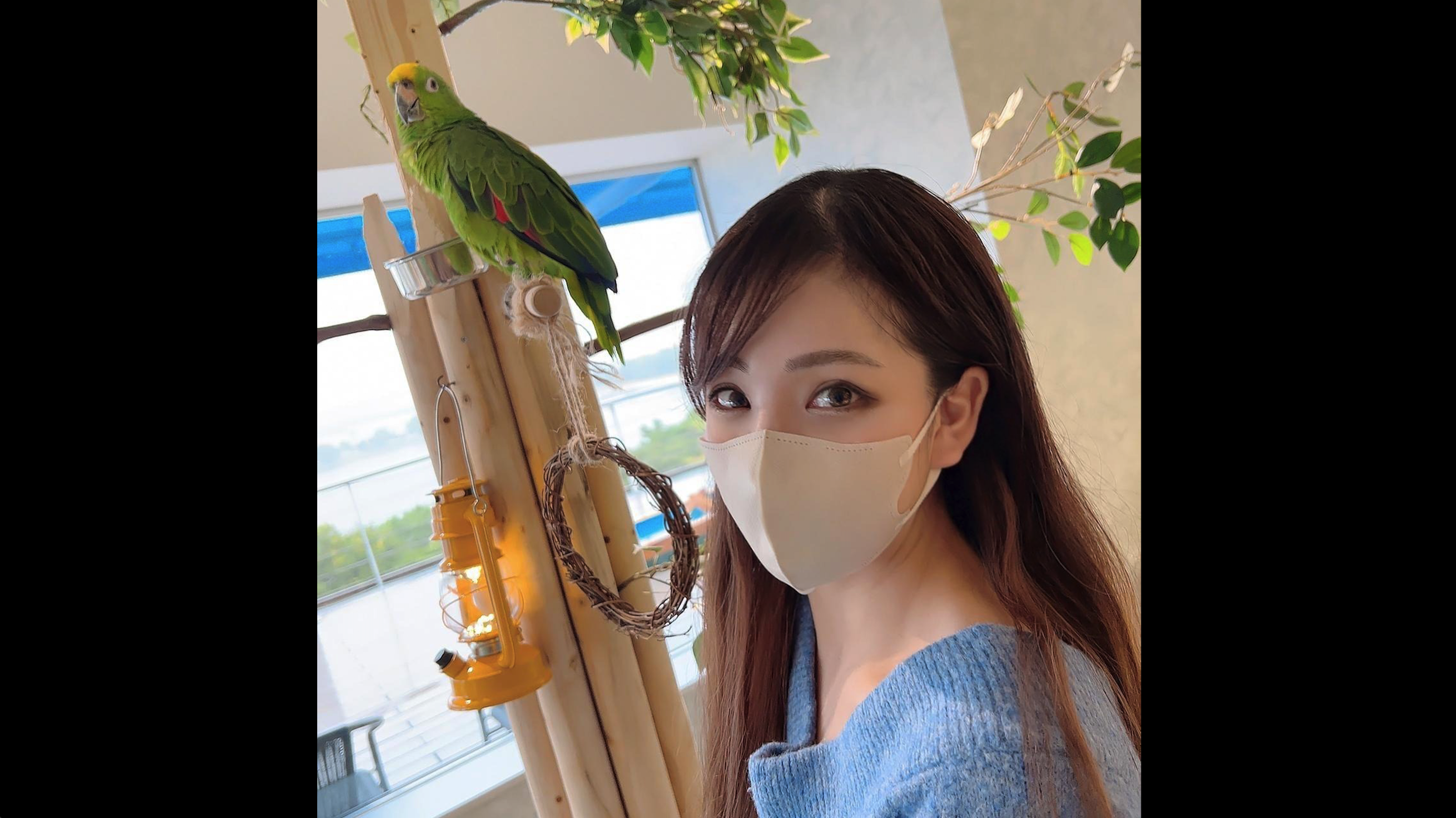 麻豆精品久久久一区二区,精品久久免费观看麻豆精品久久久一区二区，探索网络世界的独特魅力-第1张图片