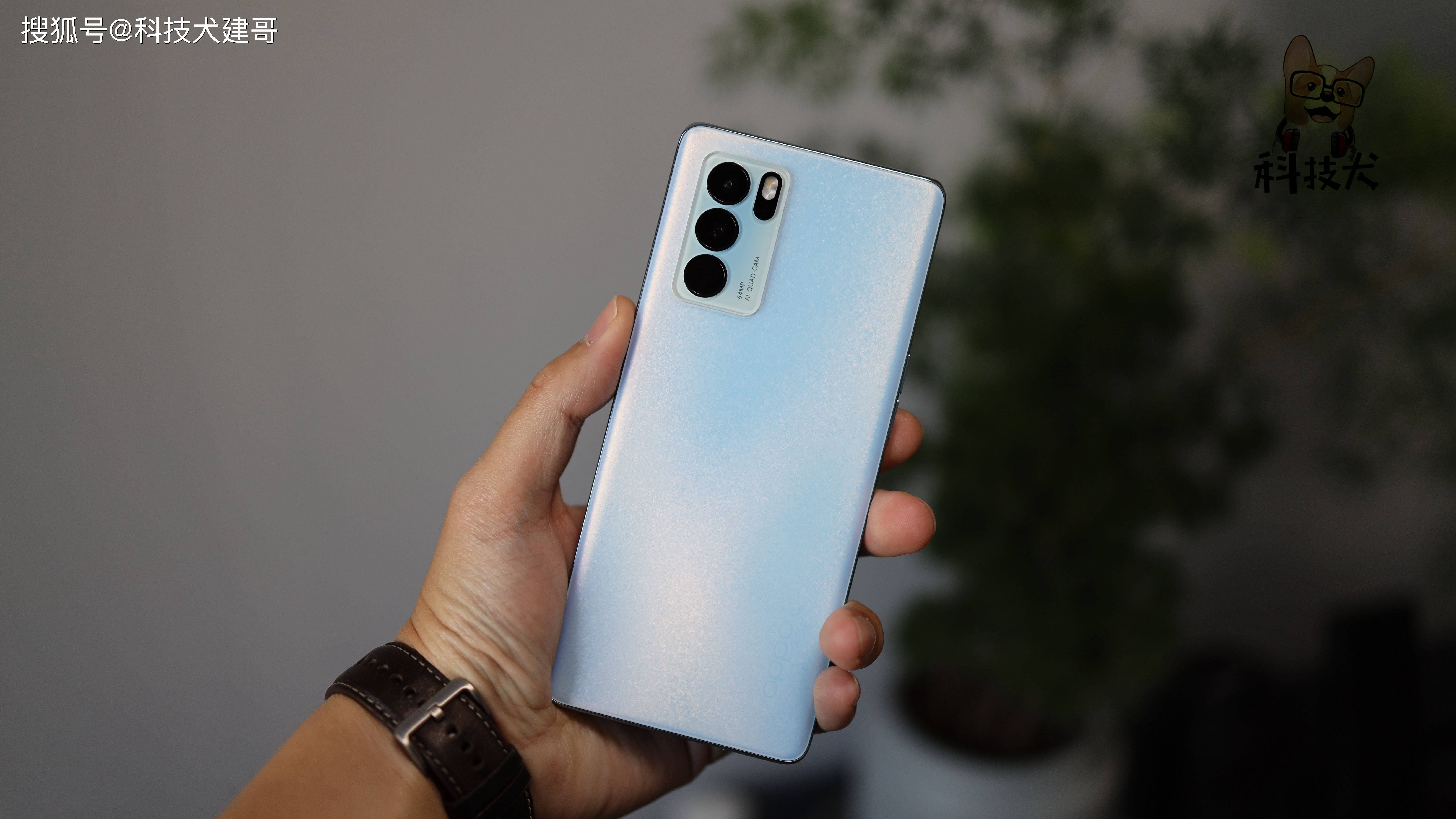 n6 proN6 Pro，科技与性能的完美融合-第1张图片