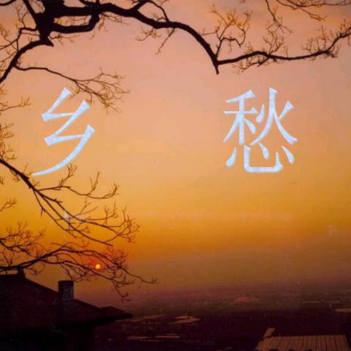 我在柔情截了一段小视频我在柔情中截取的小视频-第1张图片