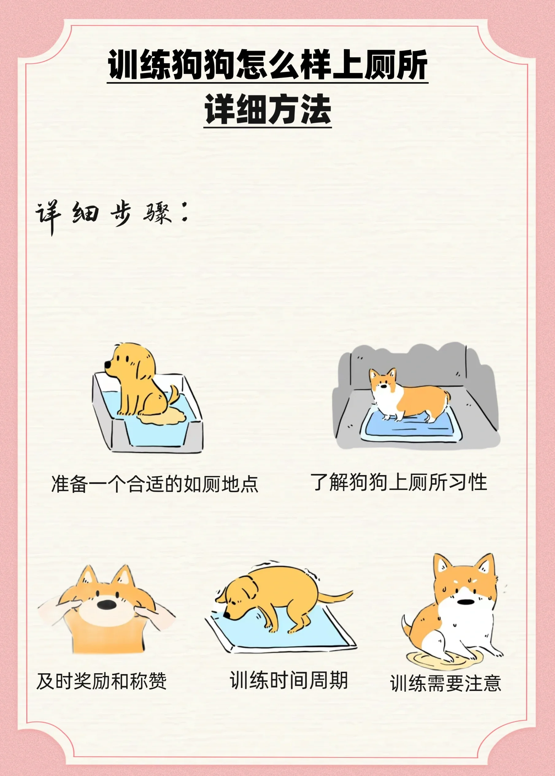 怎么训练让狗过来如何训练狗狗主动接近你-第1张图片