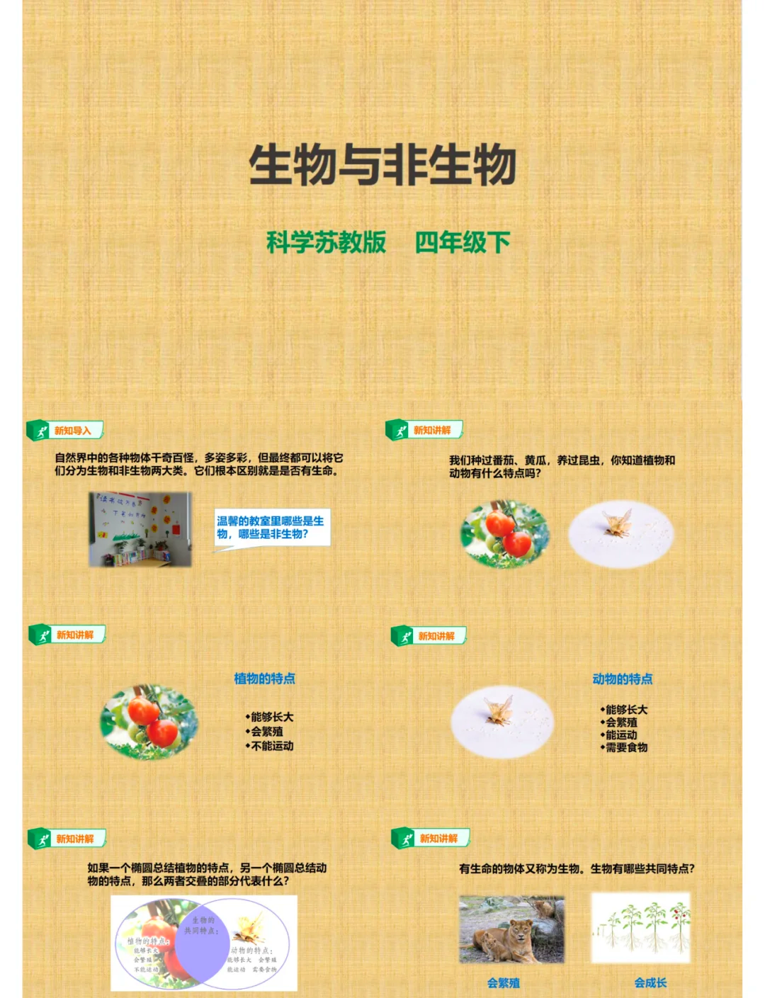 男生与女生共同探索，查查查的旅程与疼痛的启示-第1张图片