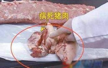 奶头捏得涨大玩弄公交上的图片小说公交之上的私密游戏，奶头捏得涨大玩弄-第1张图片