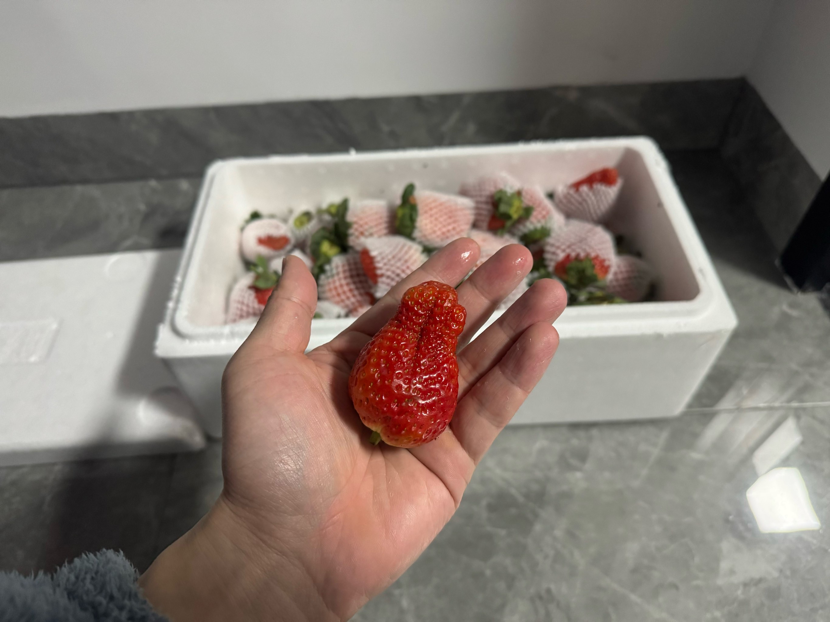 草莓视频释放深夜的自己深夜的自我释放——草莓视频的魅力之旅-第1张图片