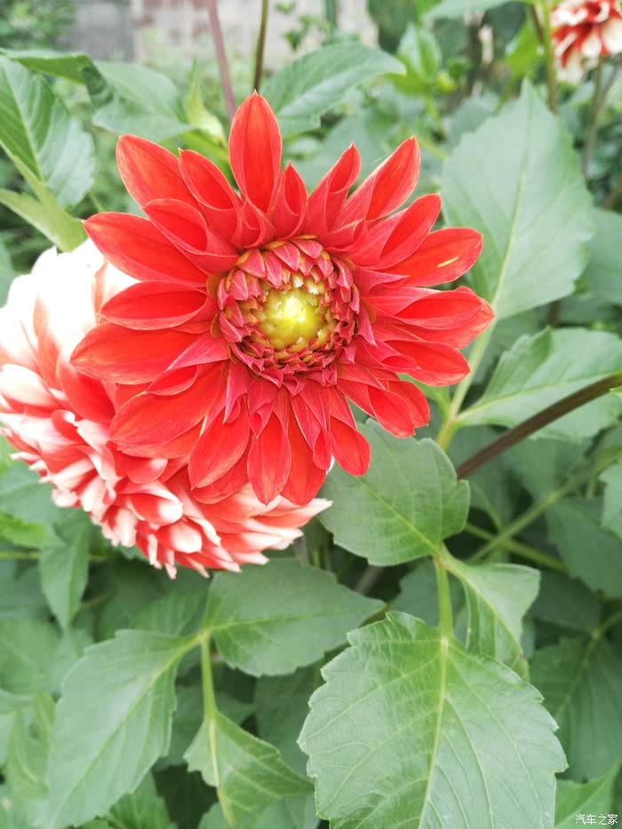 春暖花开论坛——最新地址及精彩内容分享-第3张图片