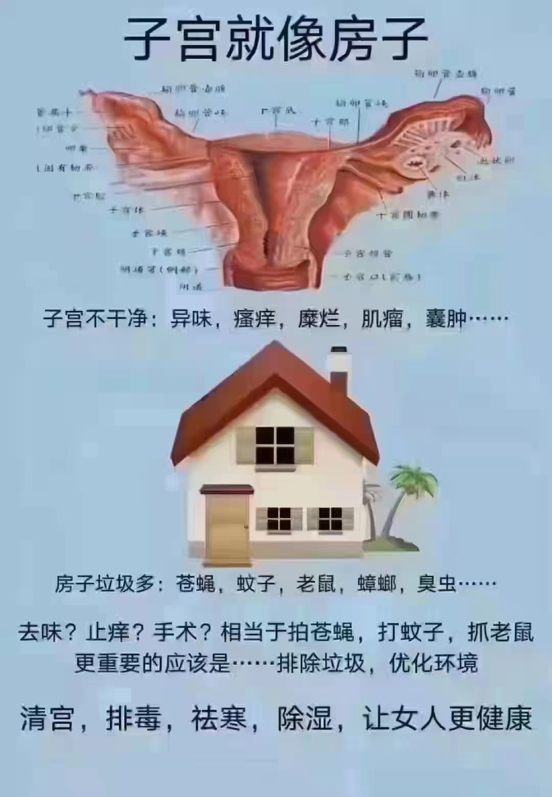 免费看美女隐私网站警惕非法网站——免费看美女隐私网站的风险与危害-第2张图片
