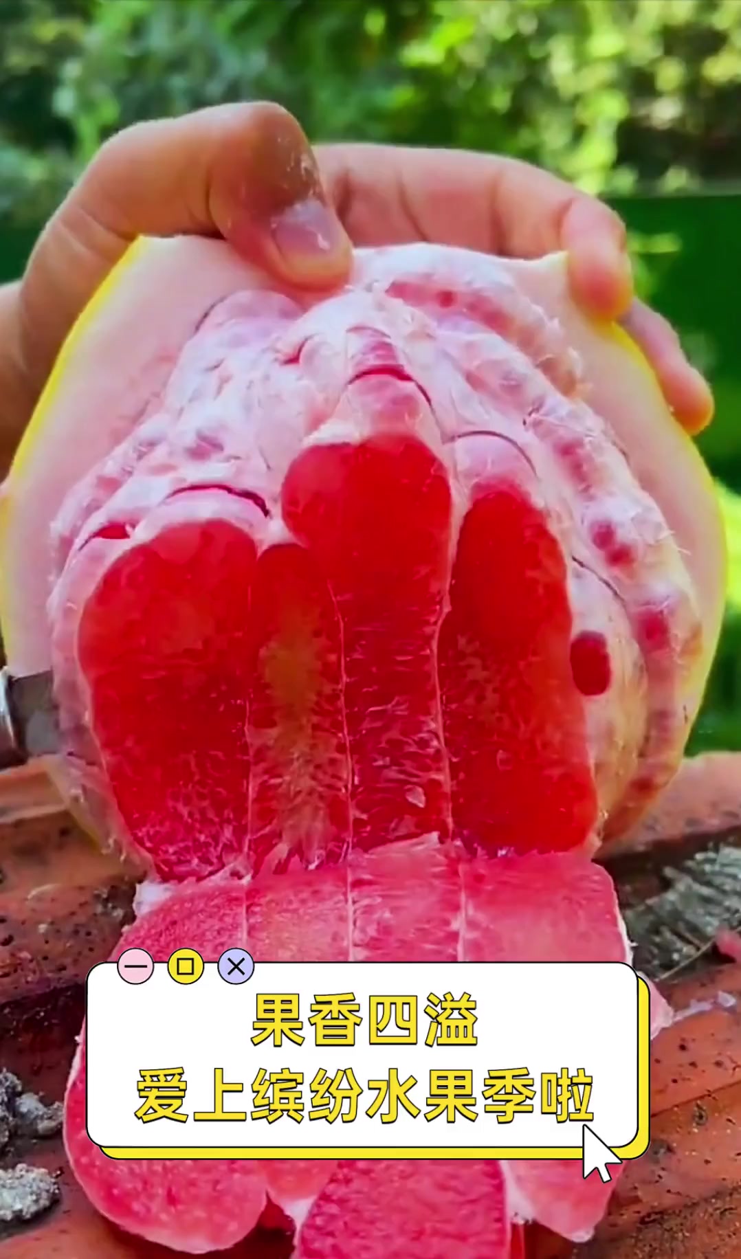 缤纷果香，品味多彩水果盛宴——香蕉、荔枝、樱桃与水蜜桃的魅力
