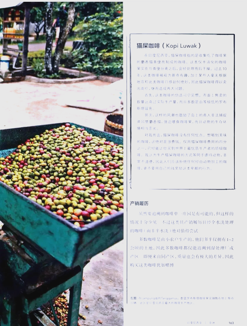 探索亚洲的独特魅力——有码区之旅