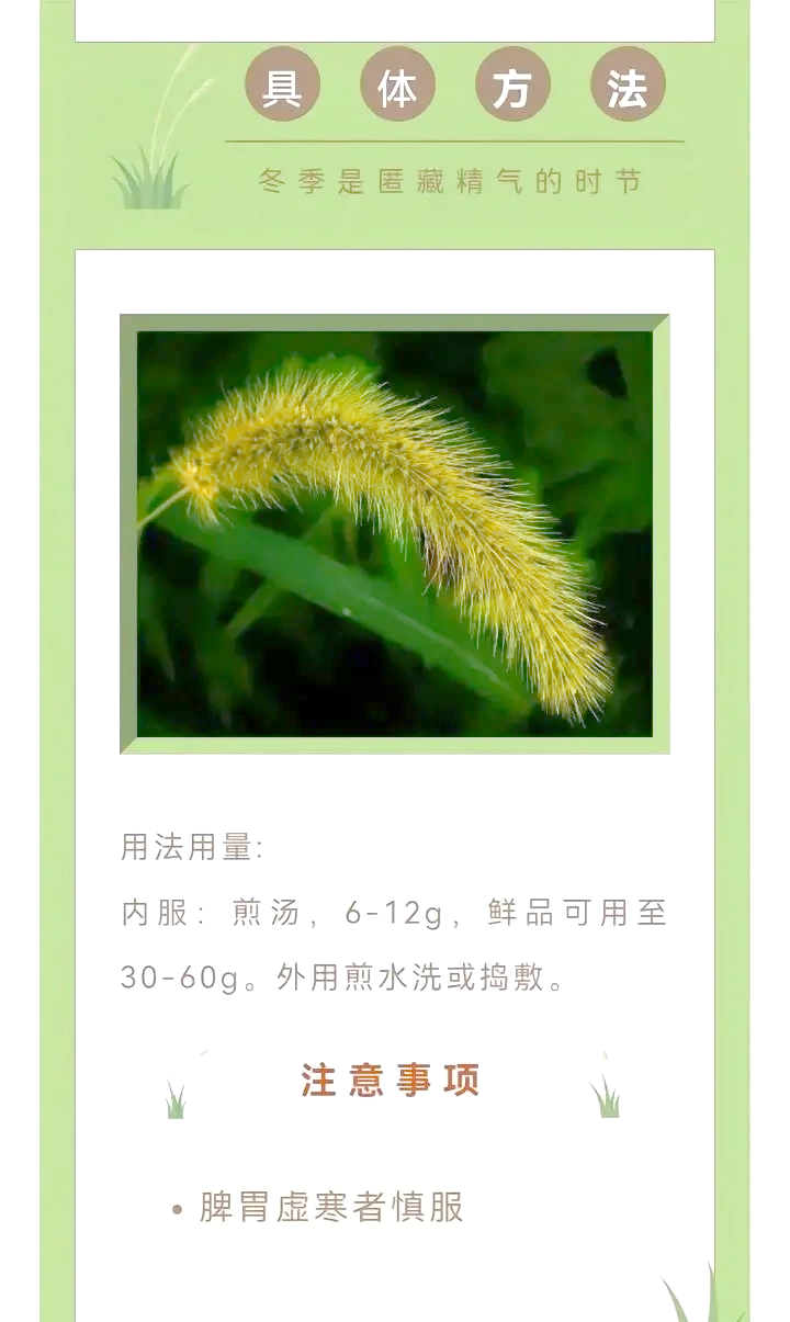 关于17草名字的探索与解读
