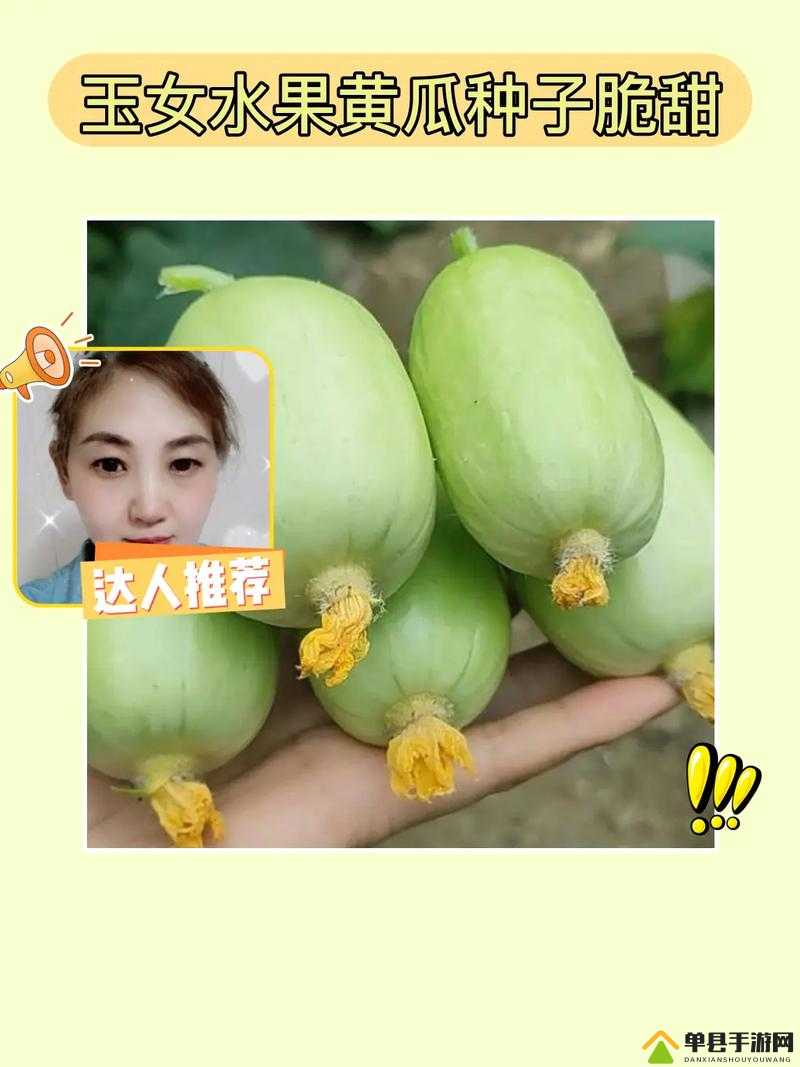 黄色软件草莓丝瓜秋葵免费苹果探索黄色软件中的草莓丝瓜秋葵与免费苹果的奥秘
